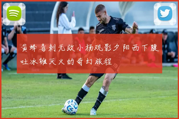 黄蜂毒刺无效小杨观影夕阳西下腹吐冰锥灭火的奇幻旅程