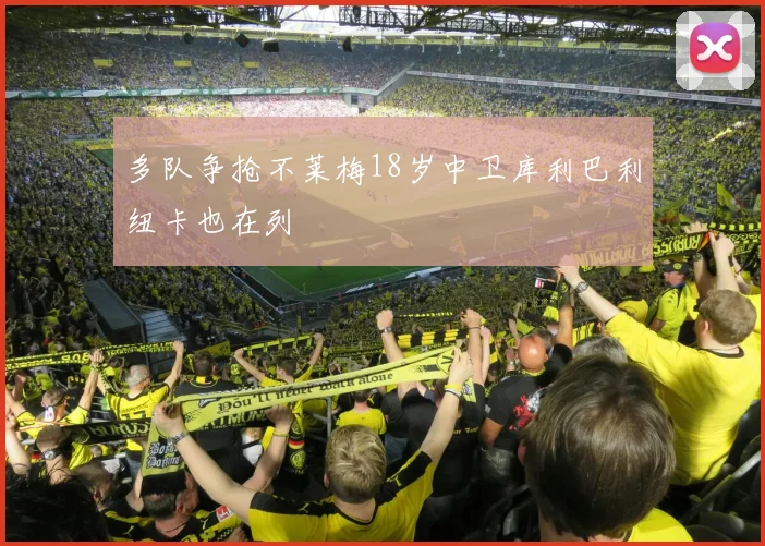 多队争抢不莱梅18岁中卫库利巴利纽卡也在列