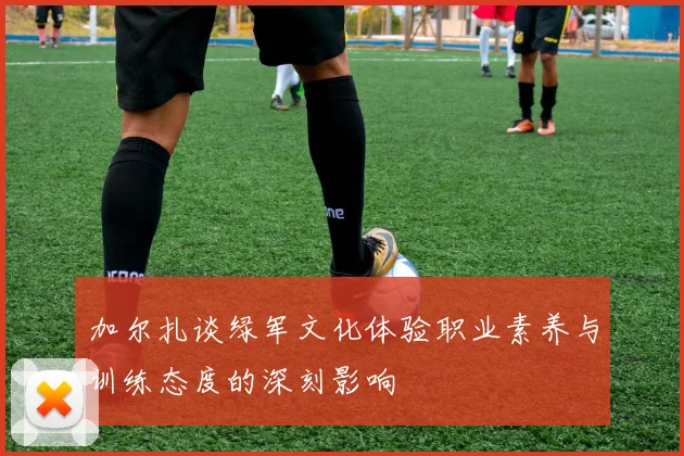 加尔扎谈绿军文化体验职业素养与训练态度的深刻影响